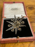 Victorian Starburst 6ct Diamond Brooch