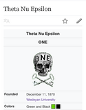 Victorian Theta Nu Epsilon Fraternity Skull Pin H.H Kynett - Ishy Antiques
