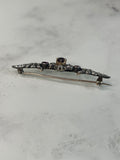 Reserved Edwardian Garnet and Diamond Winged Brooch