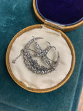 Early 20th century Diamond Crescent and Swallow Brooch