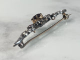 Reserved Edwardian Garnet and Diamond Winged Brooch